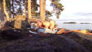 NarttuVaimo ja Aurinkolahti (kesäloman viimeinen päivä)