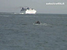 Ryhmäpano Suomenlinnassa